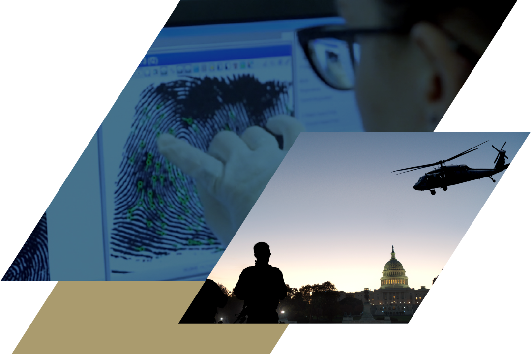 Collage image with boxes and US Capitol, helicopter, woman with computer and fingerprint work