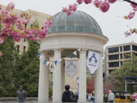 GW plaza with cherry blossoms and GW banners