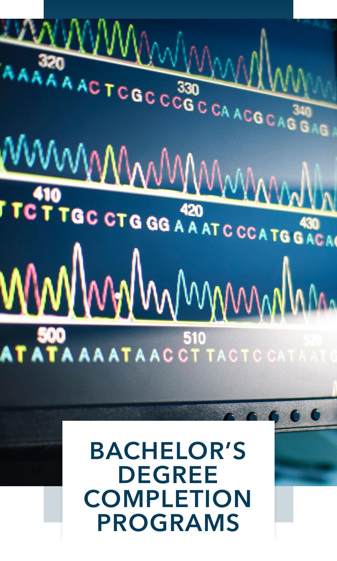 Computer screen; bachelor's degree completion programs